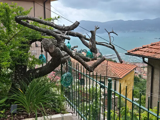Vista panorámica al mar