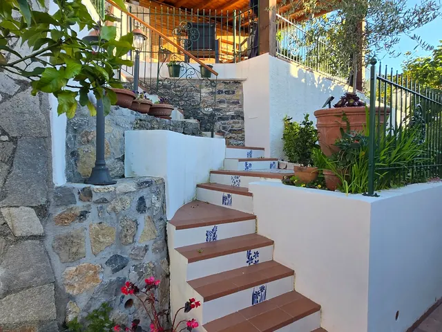 Escaleras y jardín